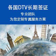 各国DTV长期签证