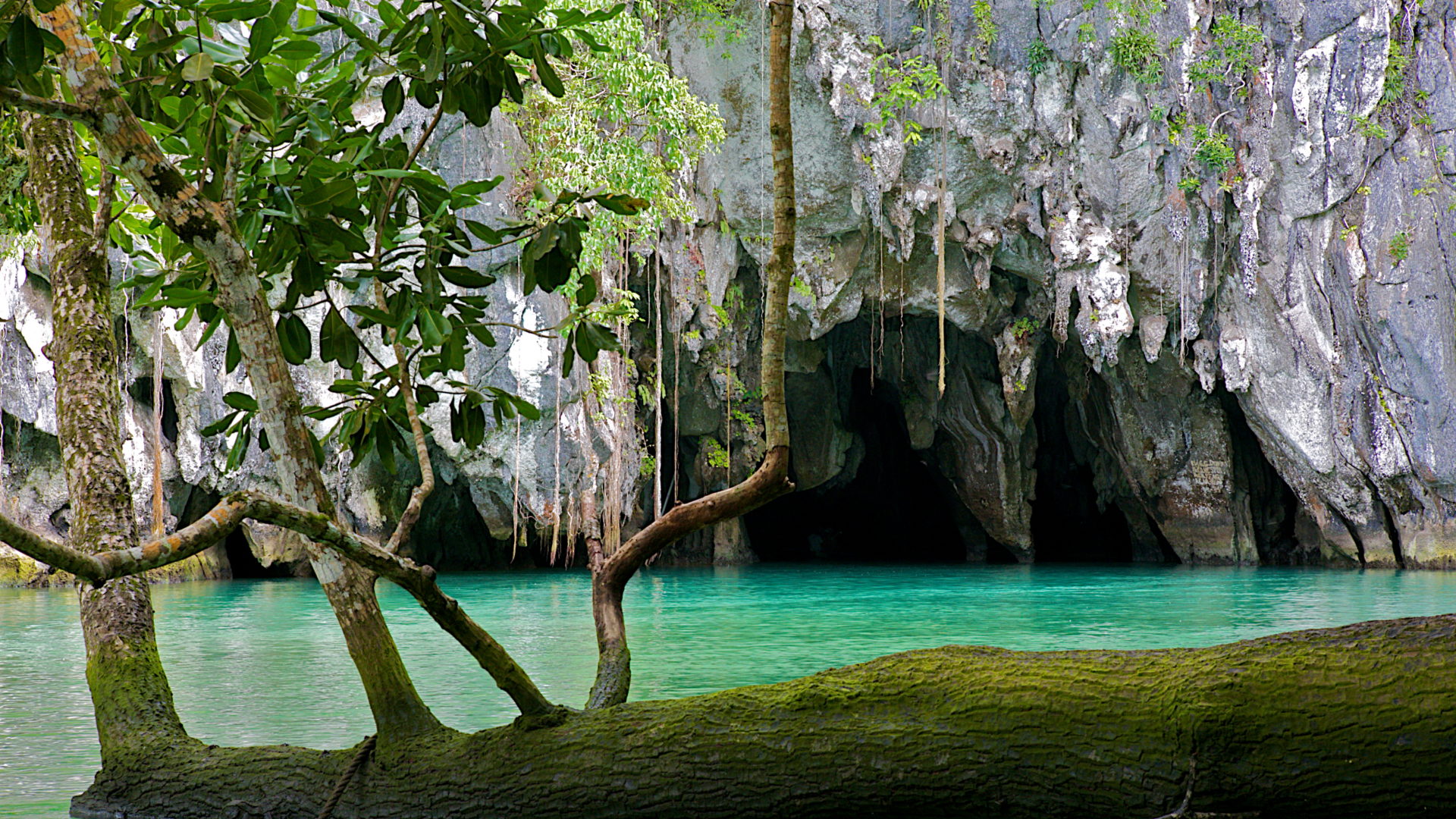 普林塞萨港地下河（Puerto Princesa Underground River）