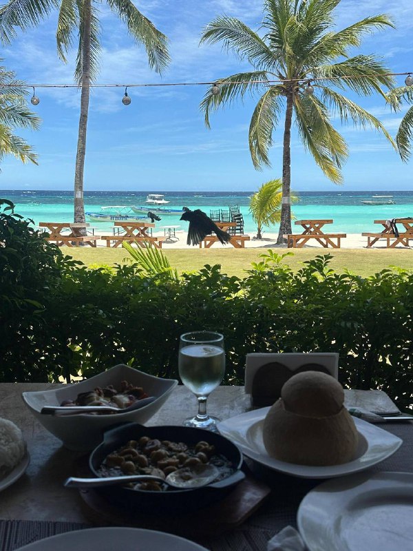 薄荷岛（Bohol）是菲律宾著名的旅游目的地，以其独特的自然景观、丰富的历史文化和多样的活动项目吸引了大量游客